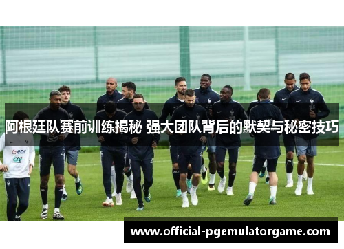 阿根廷队赛前训练揭秘 强大团队背后的默契与秘密技巧