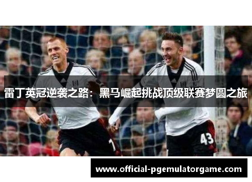 雷丁英冠逆袭之路：黑马崛起挑战顶级联赛梦圆之旅
