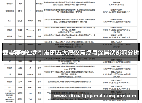 魏震禁赛处罚引发的五大热议焦点与深层次影响分析